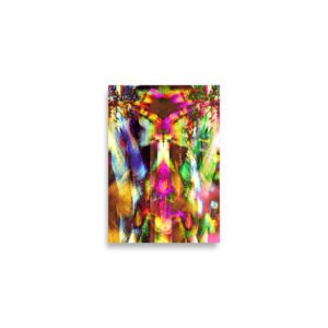 Poster MeMyselfandI 312